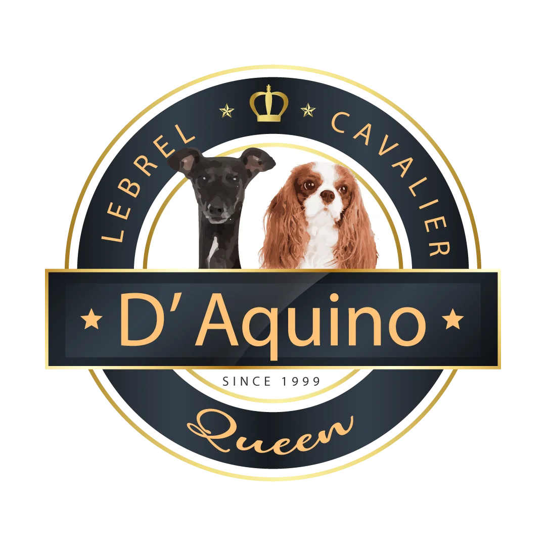 D'Aquino Queen
